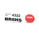 NGK 4 Pack of Standard Spark Plugs - BR8HS - 4PK Tune Up Kit