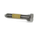 BRP Hex Cap Screw M8 X 40 250000230