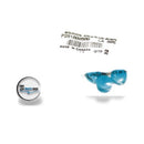 SeaDoo 291000500 Aqua Bumper Plug NOS 1 pack 5pcs