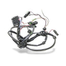 Seadoo SPX door gauge display wire harness 278000589