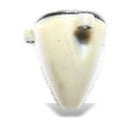 1996 YAMAHA WAVE VENTURE PUMP CONE CAP 62T-51326-00-00 BLASTER RAIDER SUPRJET