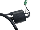 KAWASAKI ULTRA 150 Ignition Coils F6T513