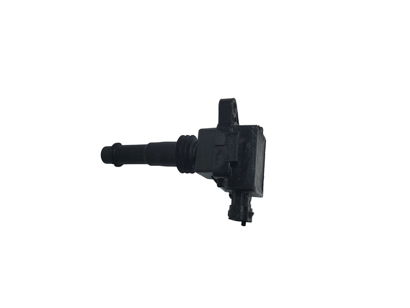 polaris msx 110  150 ignition coil pack 0451978 0221504021 #