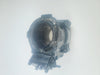 a sample image