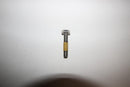 OEM BRP Hex Cap Screw M8 X 40 250000230