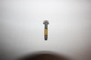 OEM BRP Hex Cap Screw M8 X 40 250000230