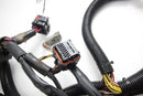 2003-2004 Sea-Doo GTX LMTD Main Wiring Harness GTX 4-TEC 278001788
