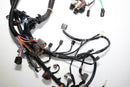 Yamaha 2005-2009 VX VX110 Cruiser Main Wire Wiring Harness 6D3-8259L-A3