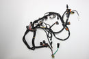 Yamaha 2005-2009 VX VX110 Cruiser Main Wire Wiring Harness 6D3-8259L-A3