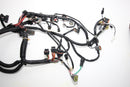 Yamaha 2005-2009 VX VX110 Cruiser Main Wire Wiring Harness 6D3-8259L-A3