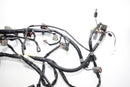 Yamaha 2005-2009 VX VX110 Cruiser Main Wire Wiring Harness 6D3-8259L-A3