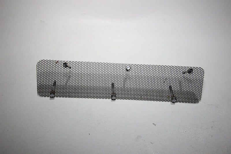 1999-2005 WaveRunner Yamaha OEM Air Intake Cleaner Element Flame Arrestor Plate