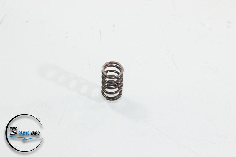 Yamaha Superjet Waveventure Raider 701 760 1100 1200 Bendix Idler Gear spring