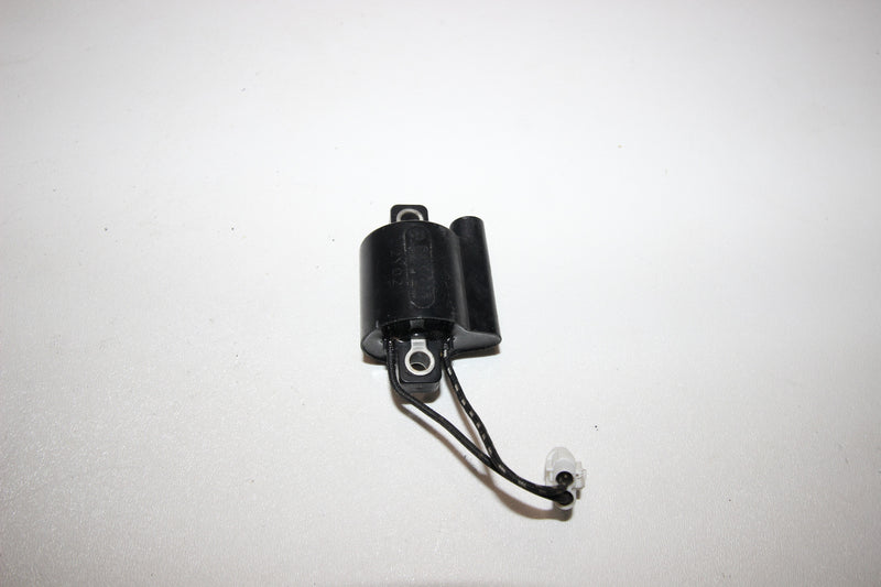 KAWASAKI ULTRA 150 Ignition Coils F6T513