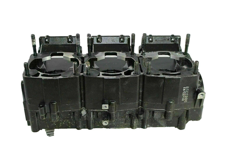 Polaris Motor Engine Block Crankcase  MSX 140 MSX140 2202423