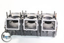 Polaris Motor Engine Block Crankcase MSX 140 MSX140 2202423