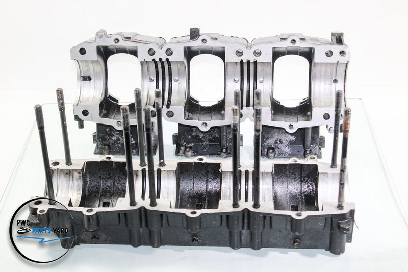Polaris Motor Engine Block Crankcase  MSX 140 MSX140 2202423 10-7-2021