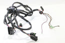Seadoo SPX door gauge display wire harness