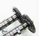 Yamaha AR210 SR210 SX210 V1 VX VX110 Sport Deluxe Cruiser Cam Camshaft 03-08-21