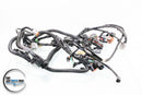 Yamaha FX140 FXHO FX160 High Output Engine Injection Wire Harness