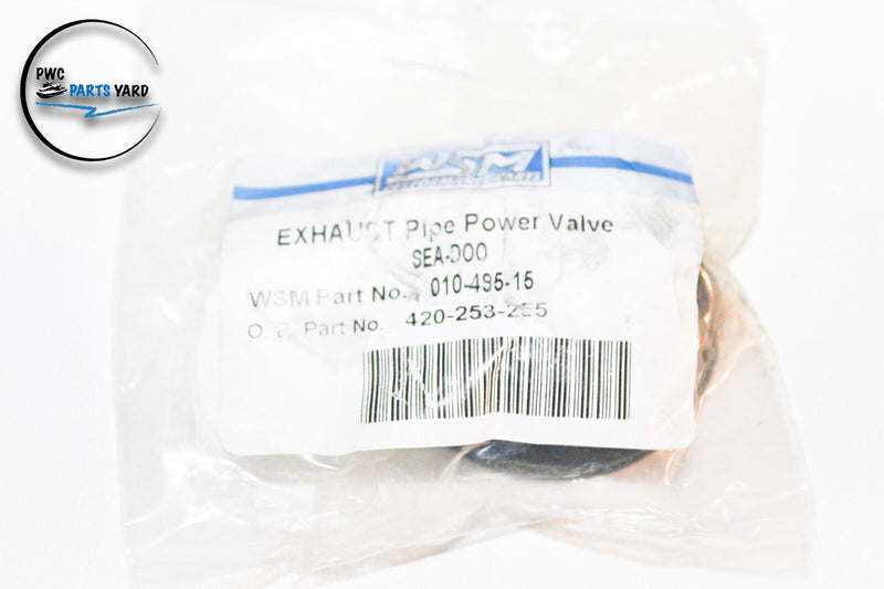 WSM Sea Doo Exhaust Pipe Muffler Water Box Power Rave Valve Piston 420253255