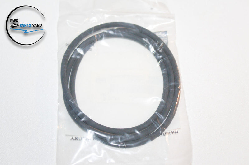 OEM Sea-Doo Magneto O-ring 290831555