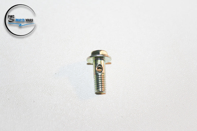 OEM 1992 - 2001 Sea-Doo GTI SPX HX GTS GS GSI XP Banjo Screw M6x16 290241830